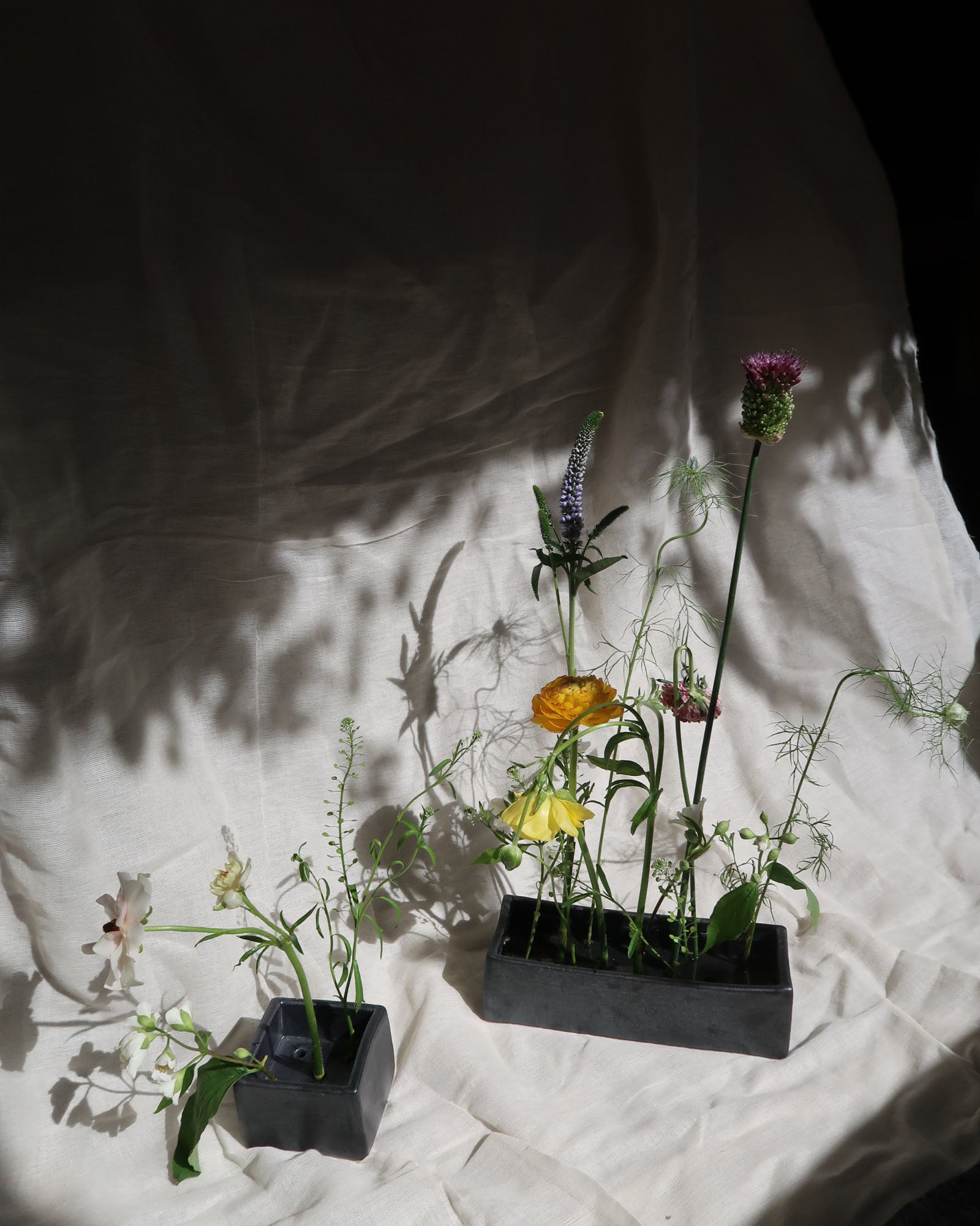 Easy Ikebana flower Vase Rectangular beoom